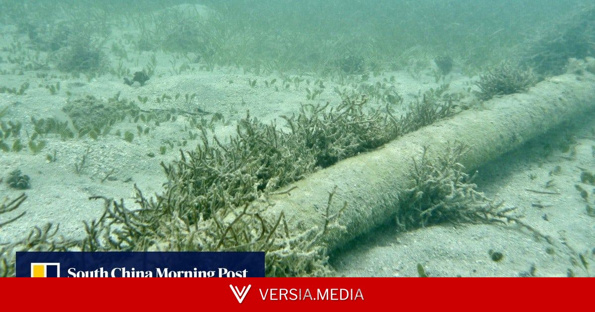 China offers sea cable detection tech to clients in Middle East, Europe and Asia