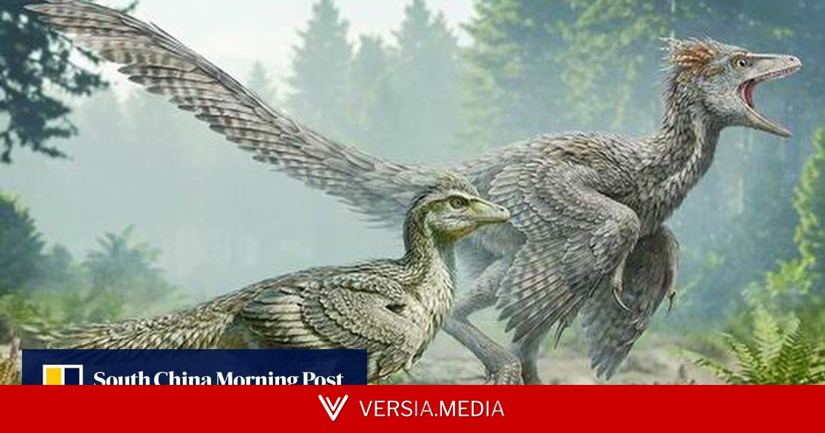 Chinese fossil find shows birds shed their dinosaur tails step by step