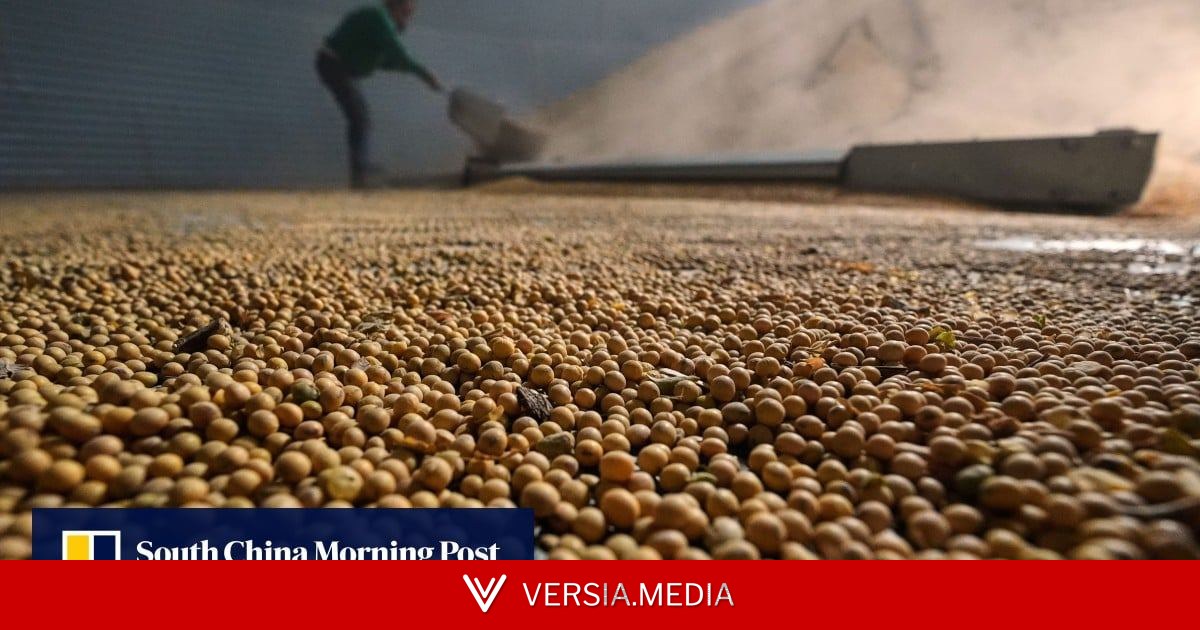 Is China’s biggest daily US soybean order confirmation of Xi-Trump summit pact?