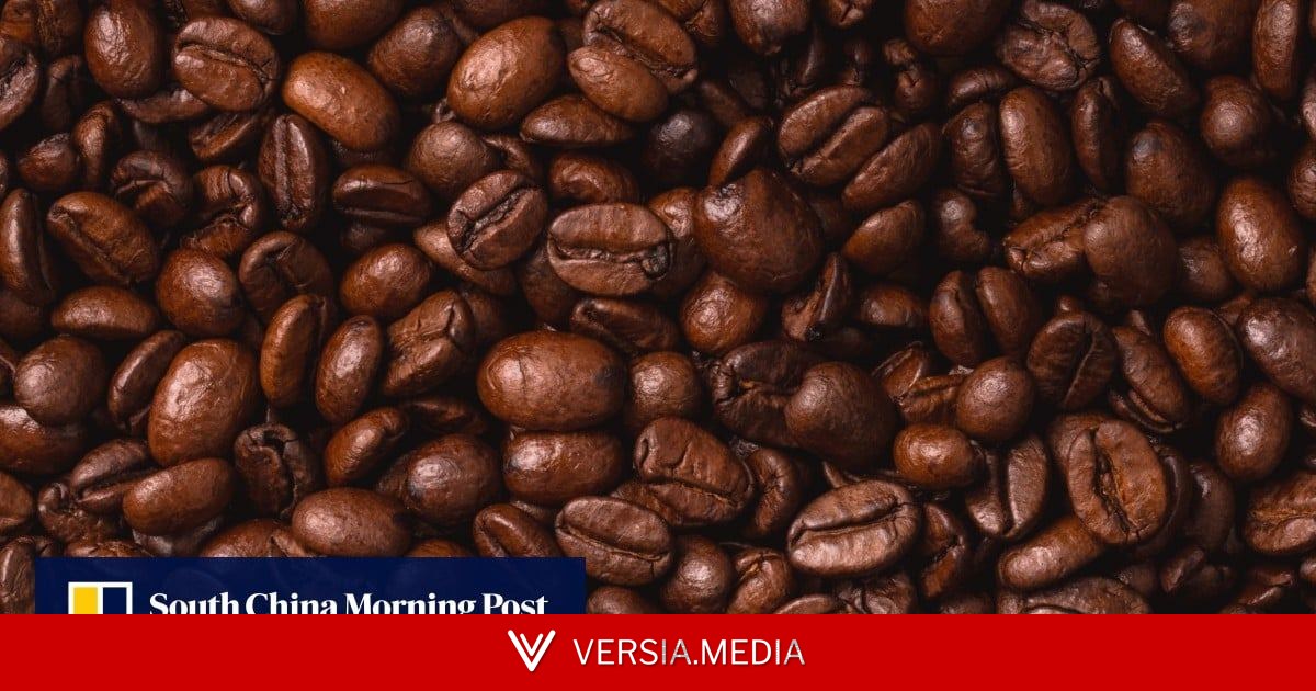 Coffee, chillies and cashews: a new recipe to spice up China-Africa trade relations