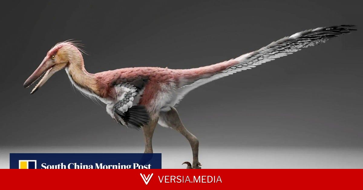 Discovery of fish-eating raptor in Argentina points to prehistoric links with China