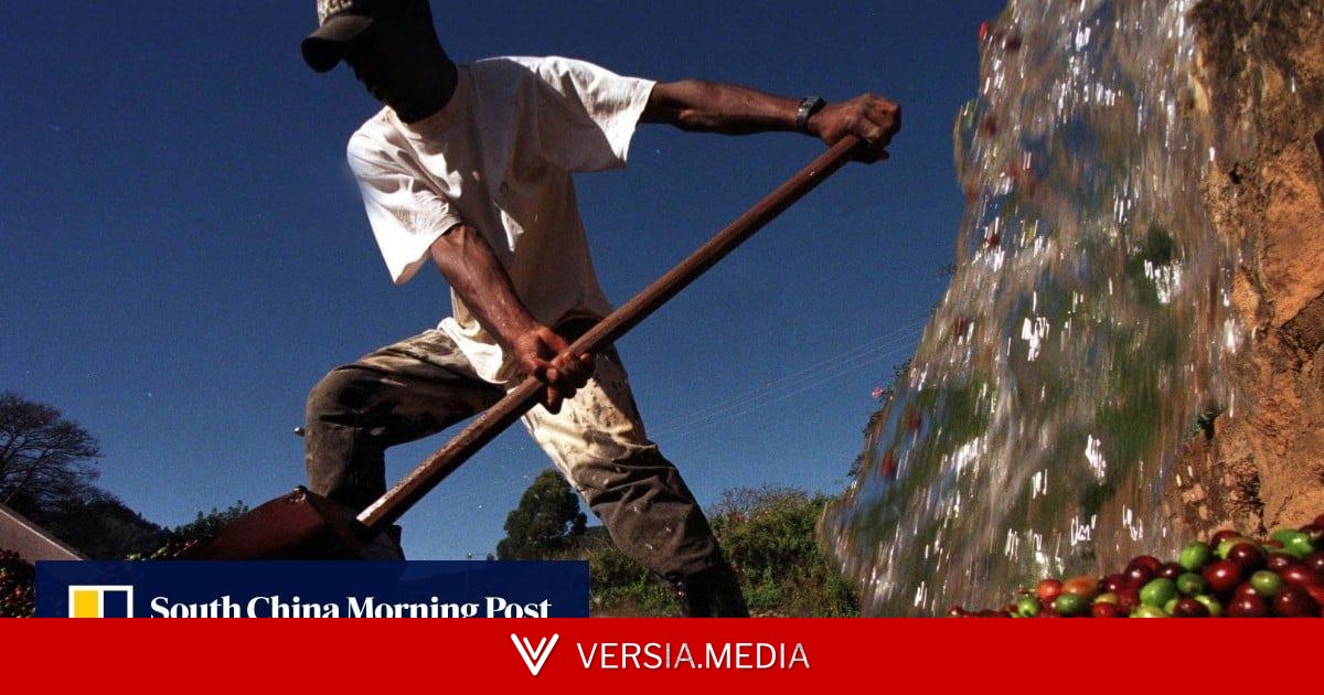 Trump’s tariff war pushes Brazil’s trade towards China as US share hits record low